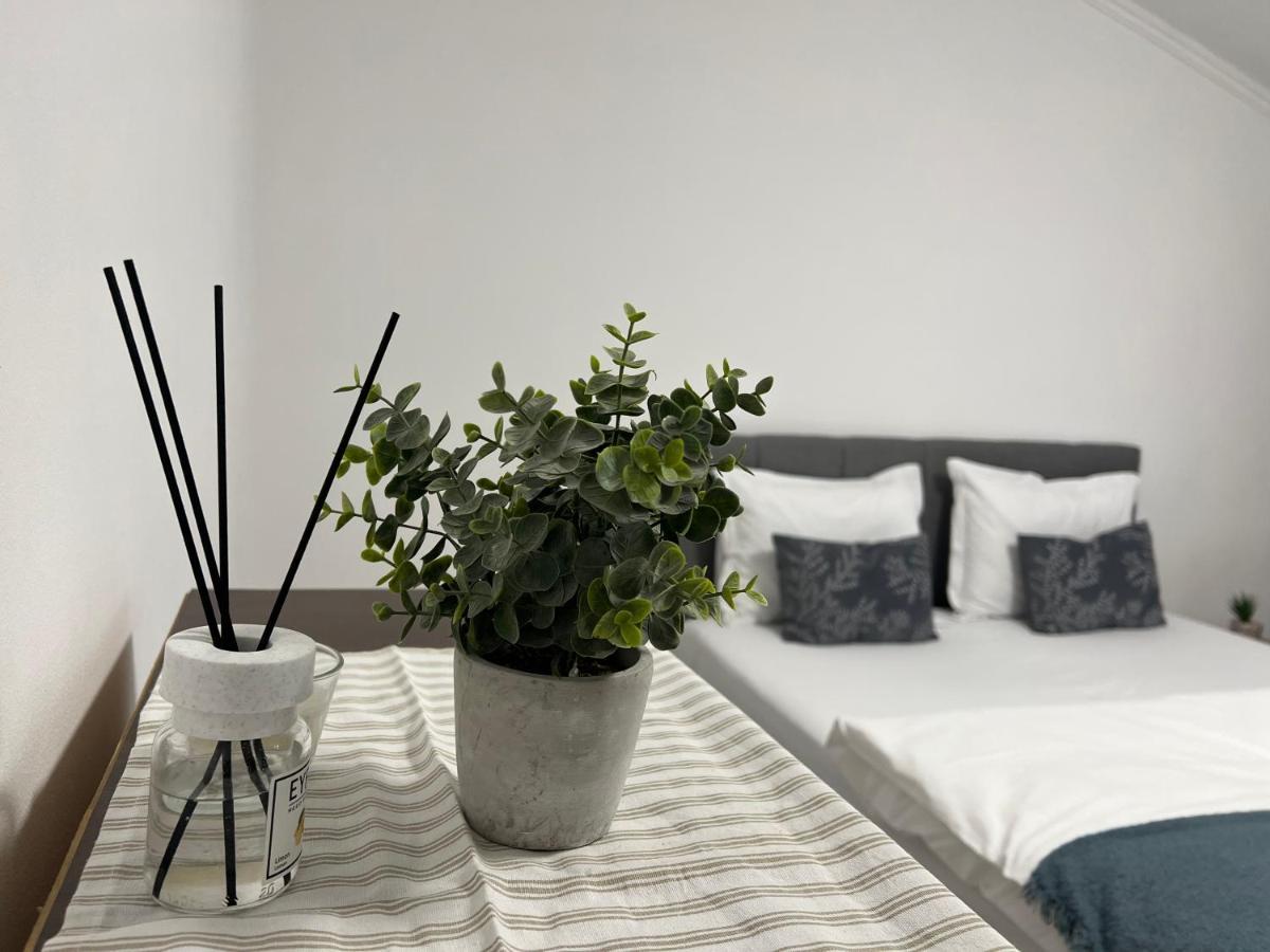 Green Holidays Cluj-Napoca Eksteriør bilde
